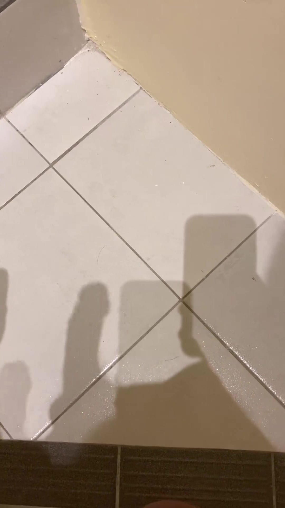 A game of shadows
