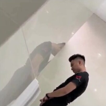 Japanese Urinal Spy