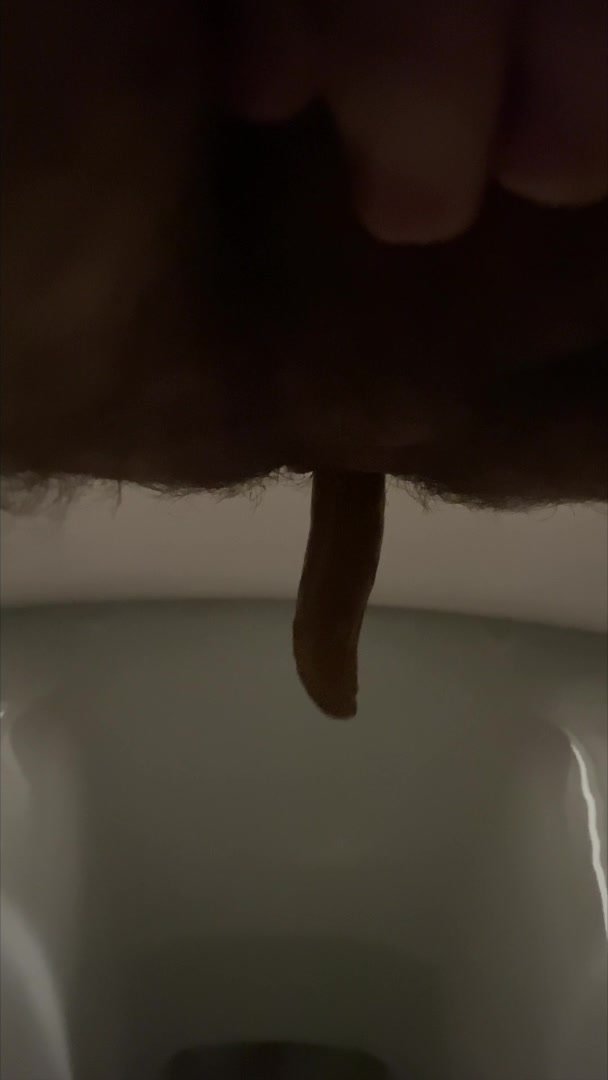 Pooping/diarrhea on toilet 20th Feb 24