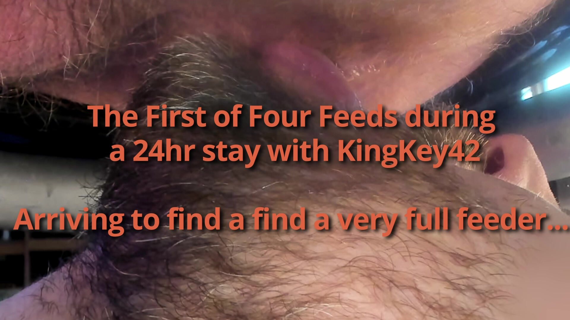 KingKey42 and the Pressure Release
