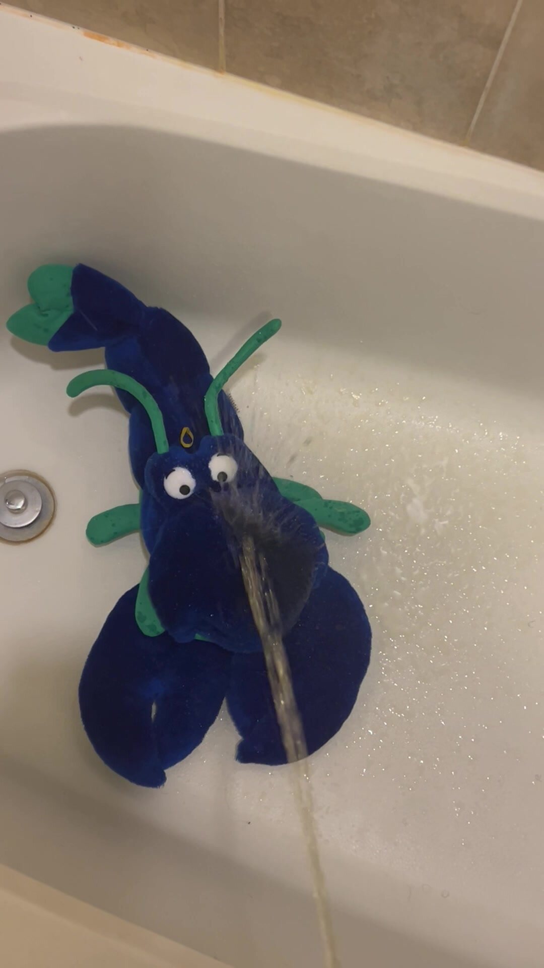 Pissing On A Lobster Plush!
