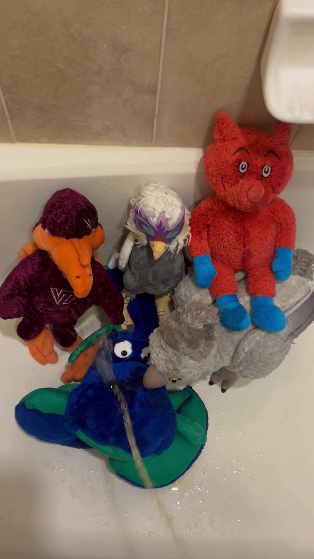 A Group Of Old Plushies Get There Last Golden Shower