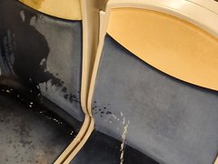 Train Seat pissing 1