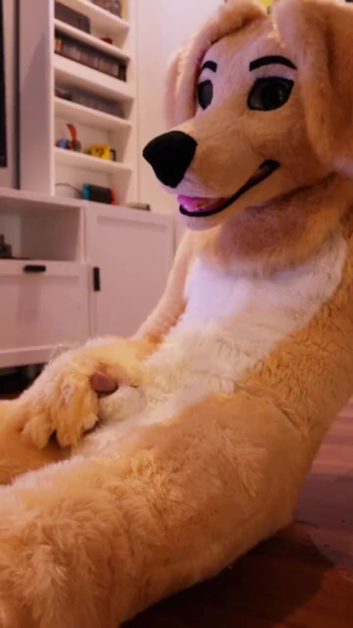 fursuit pisses all over self and floor