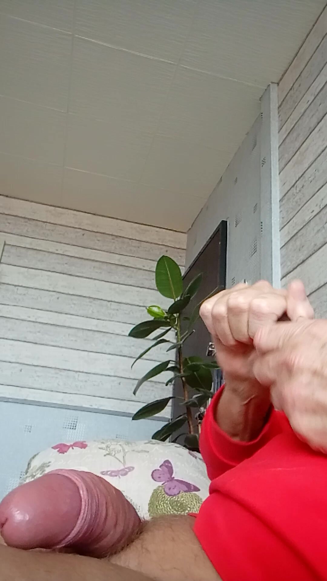 Cock sperme