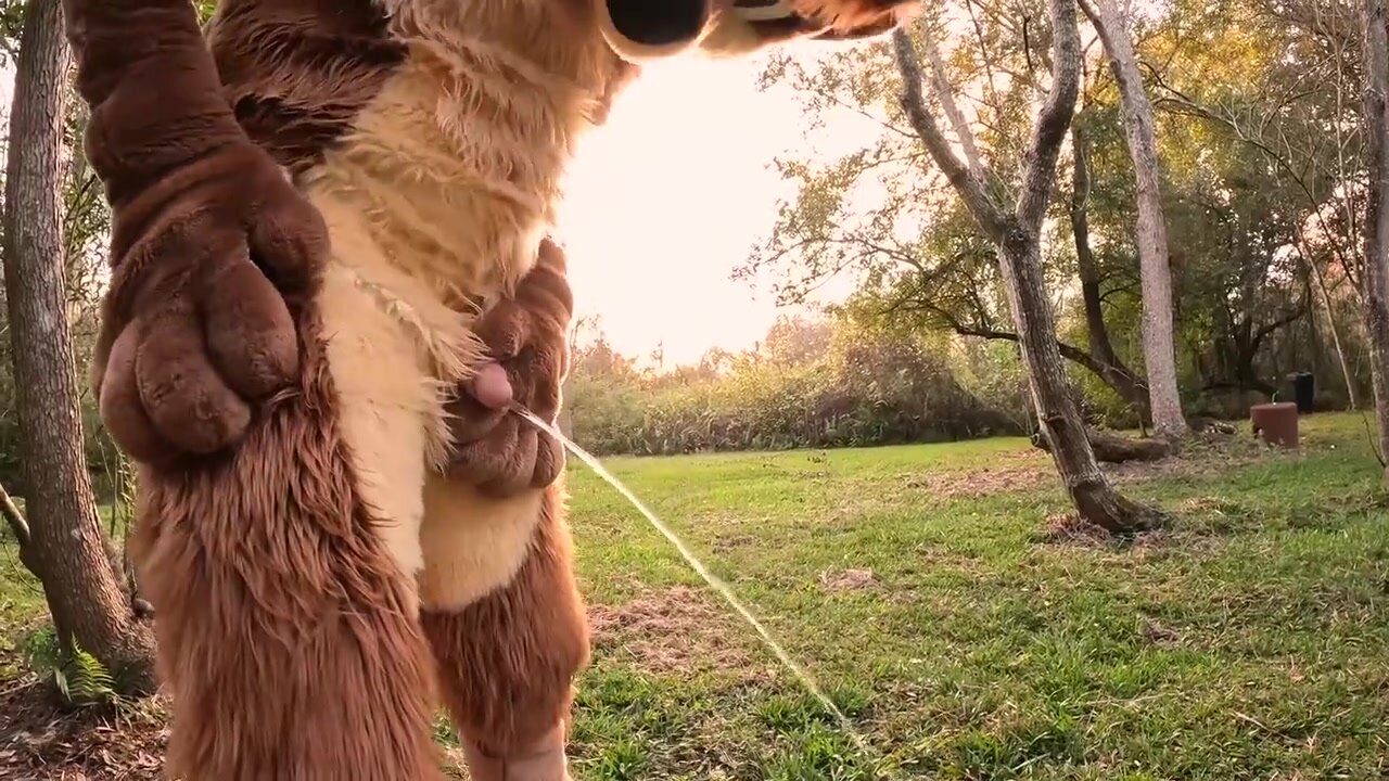 Furry pisses and cums in forest