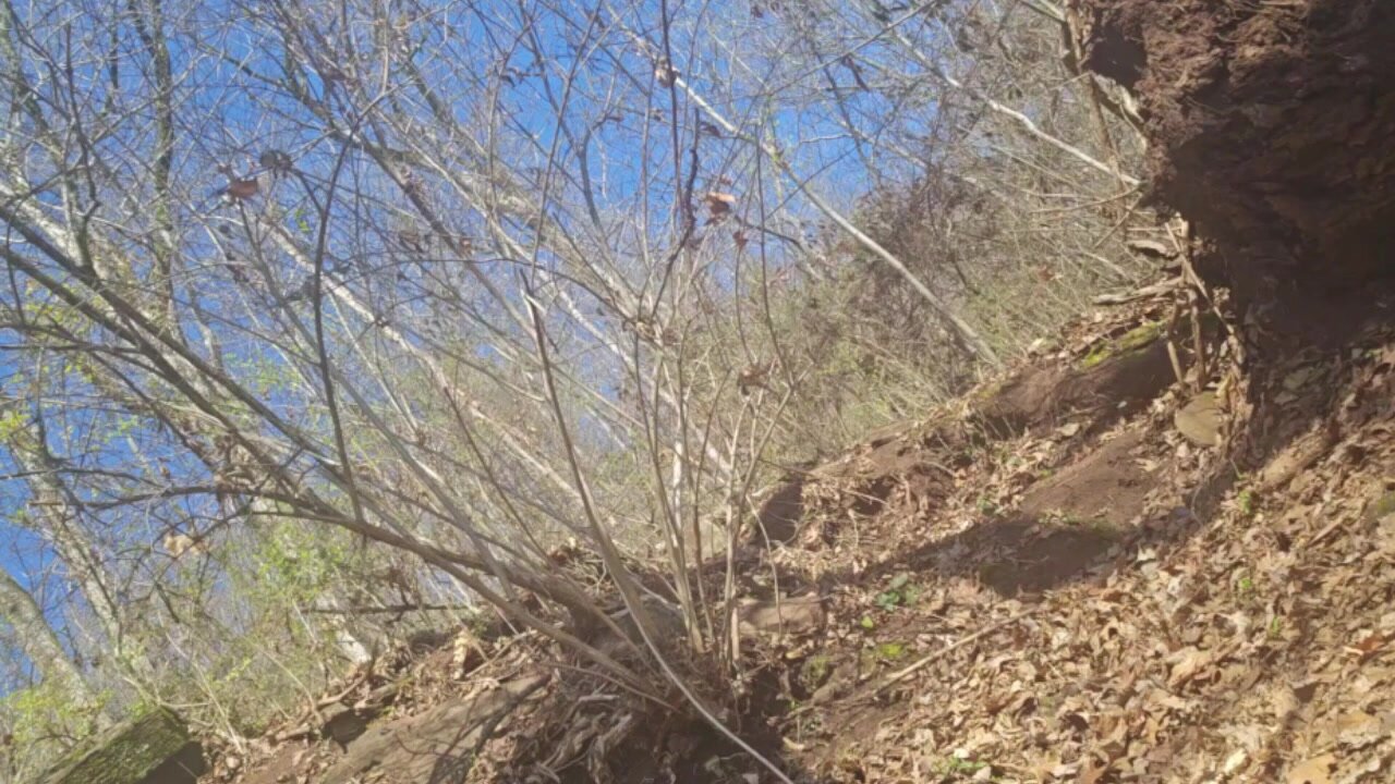 Streamer pees on a hike