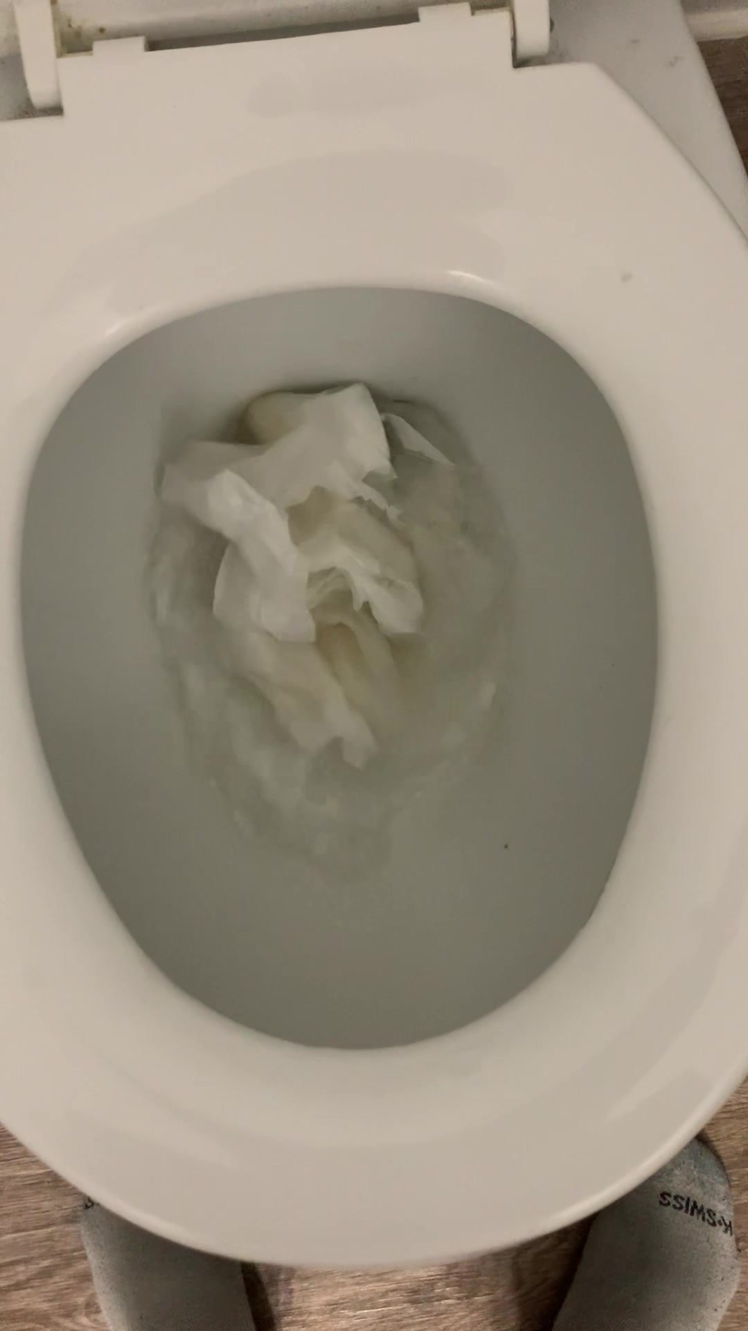 Toilet - video 172