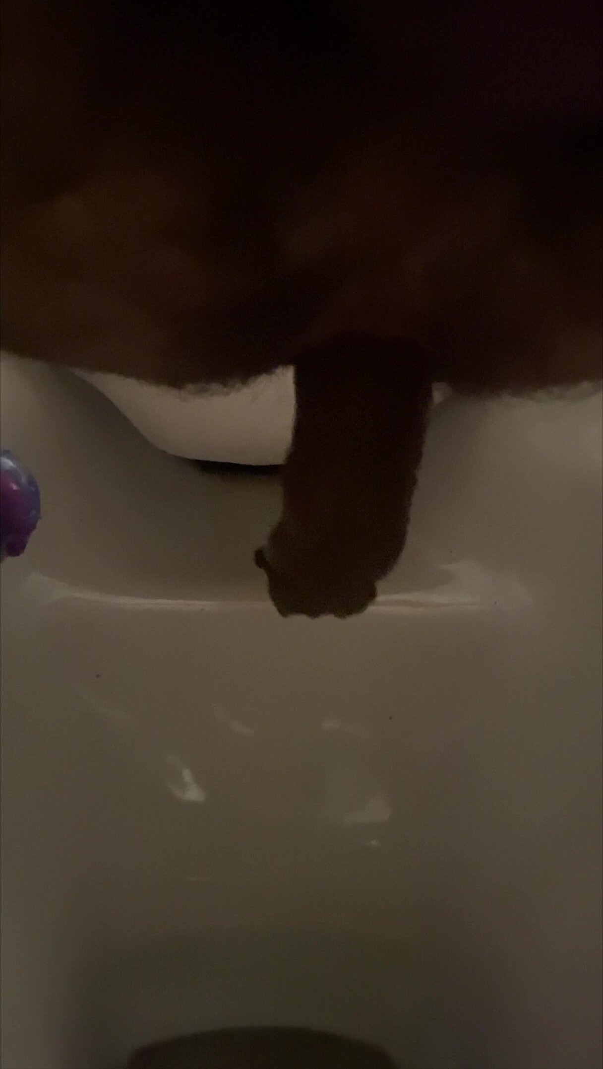 Pooping on toilet 5th Mar
