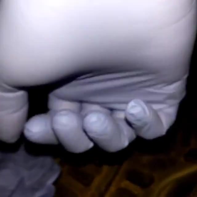 Donning Nitrile Gloves