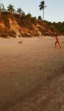 Based Dog steals bathing suit from Beach Bimbo