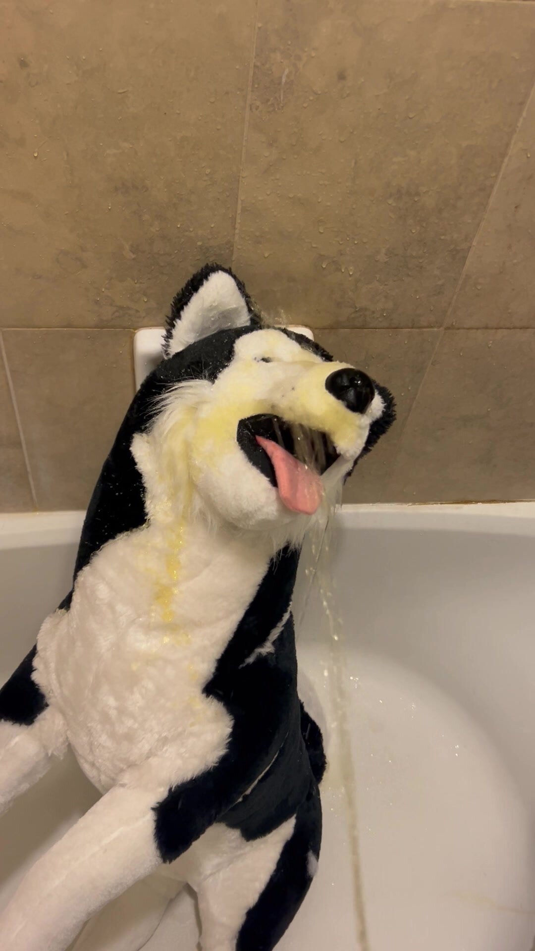 Pissing on a GIANT Husky Plush