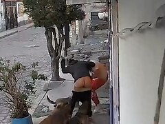 Guy With Nice Ass Attacked By Dogs