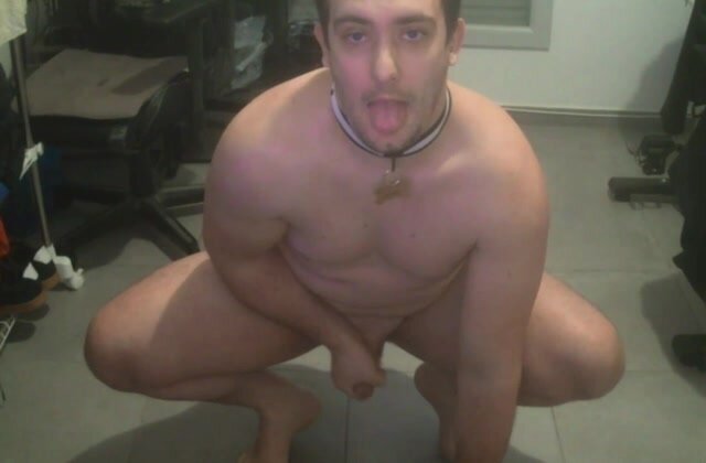 Pup degrades himself for his master