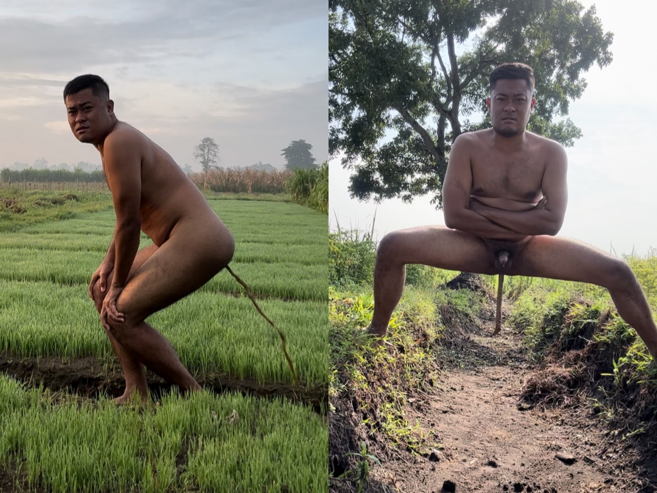 Nude Farmer Shitting In Public
