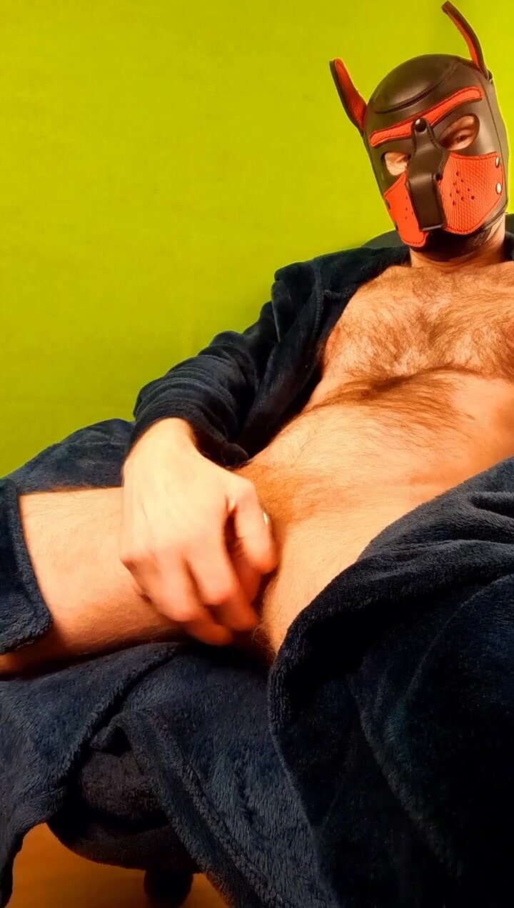 saturday puppy eve fun