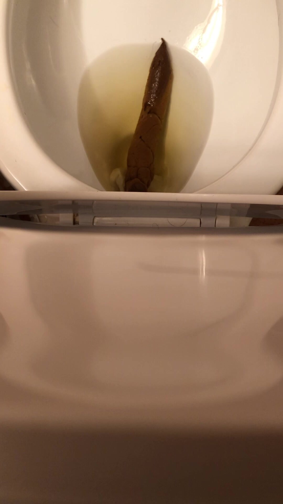 Unflushable turd clogs toilet