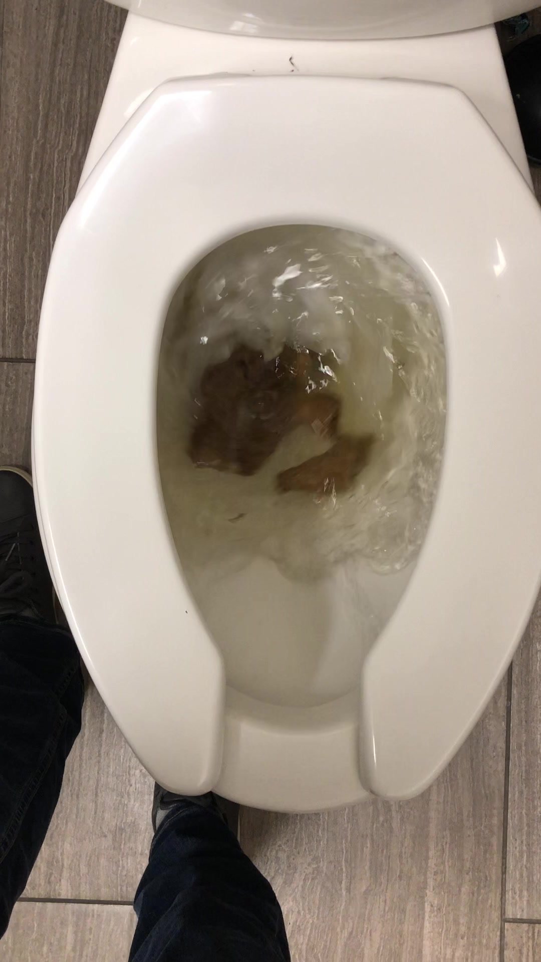 Big dump clogs toilet