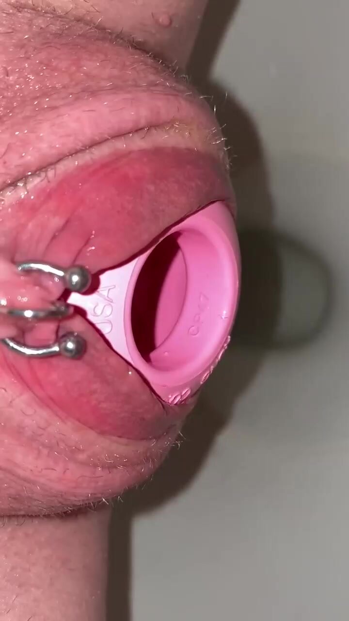pussy kong toy insertion