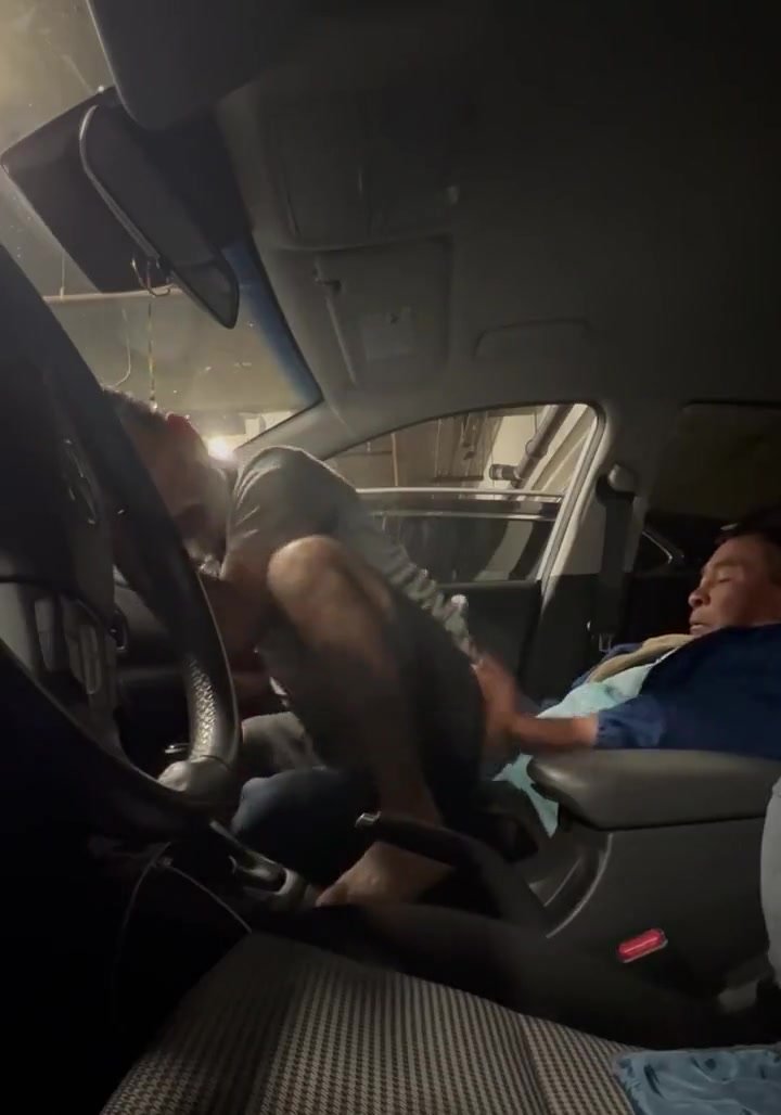 Daddies fucking in the car