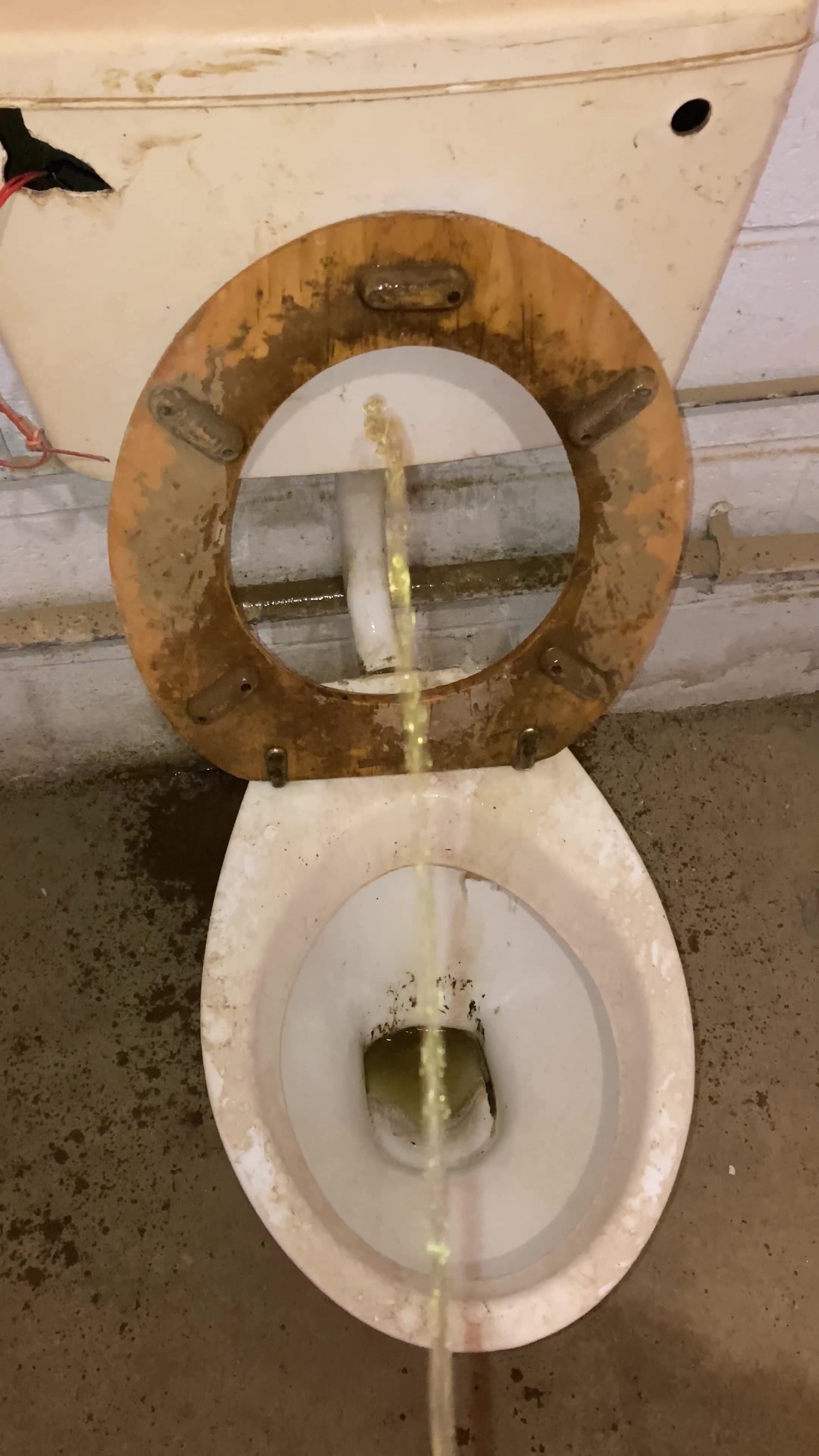 Pissing up the work toilet