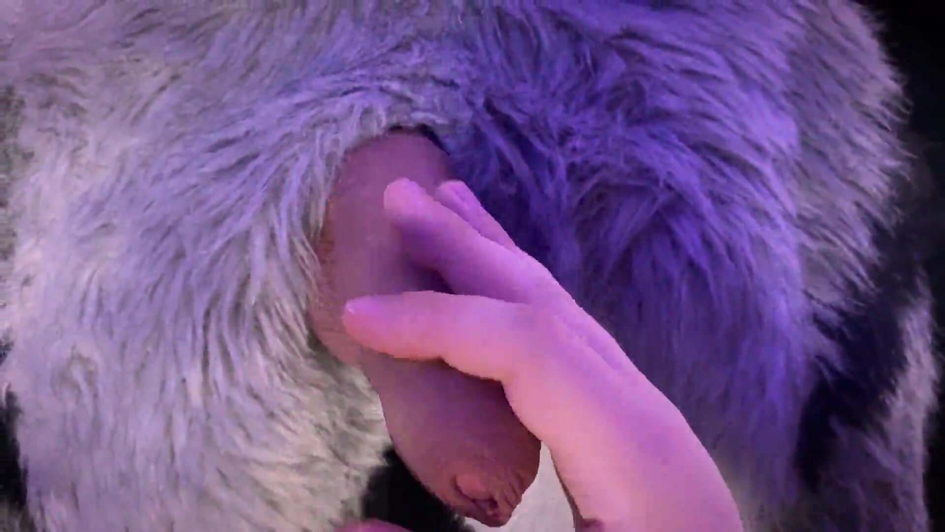 Hung fursuit guy gets his uncut cock fondled and sucked