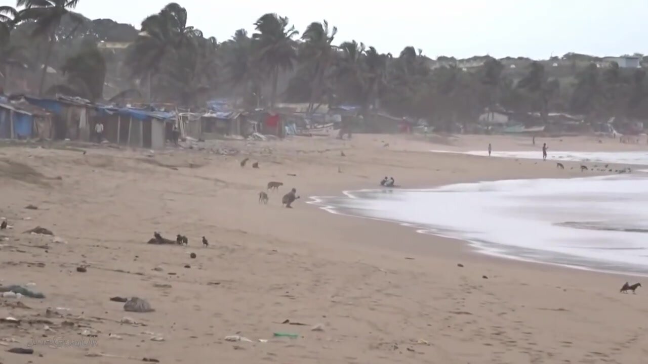 Other Open Defecation Beach Video