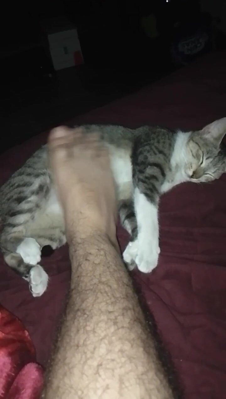 Smelly feet with a Kitty