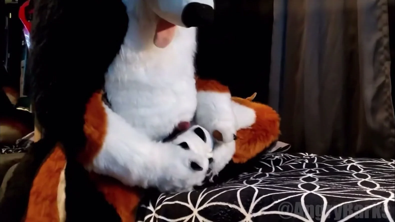 Humping His Own Paw | Fursuit - ThisVid.com