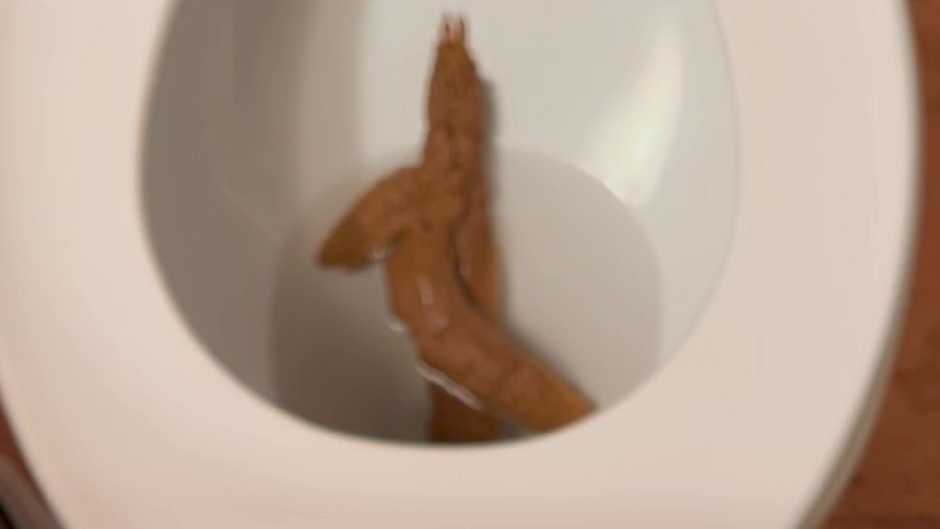 Big heavy poop clogs toilet