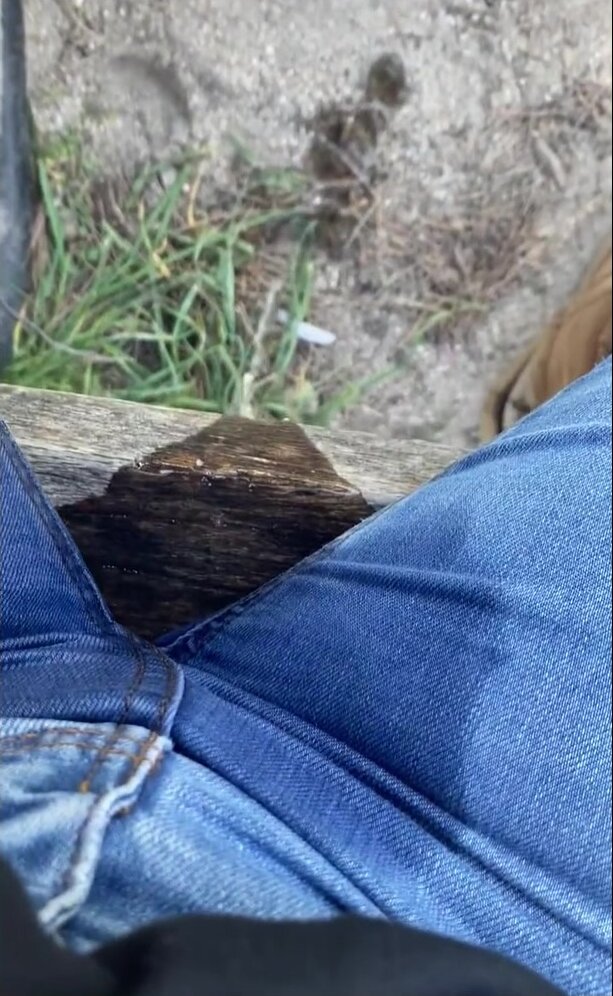Girl Pee Desperation On Bench