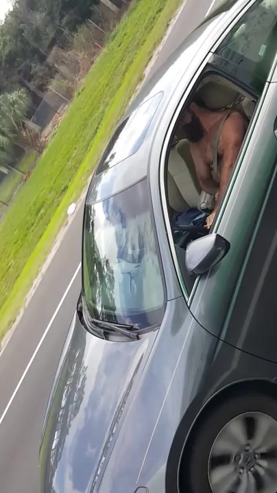 Caught Jerking off While Driving