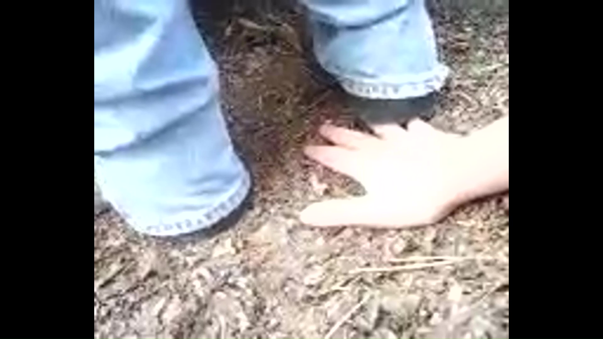 Work Boot Hand Trample