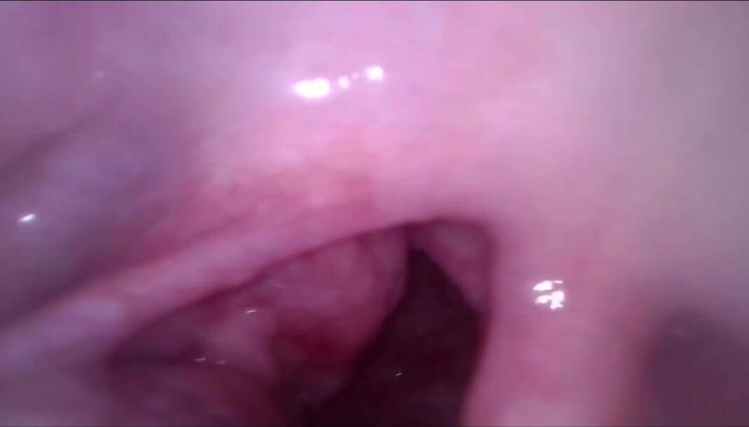 Throat vore - video 2