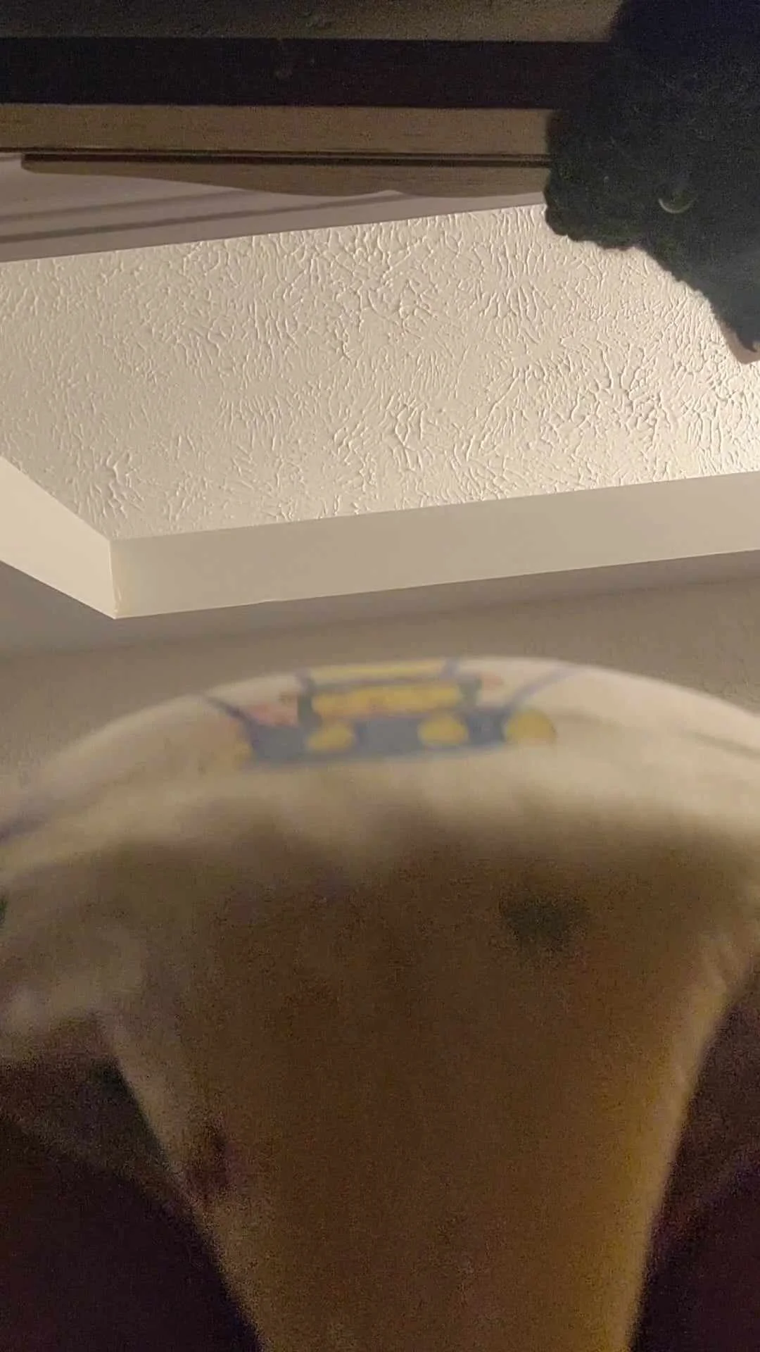 Video: POV: Messy Diaper NB sits on your face and ends abrupt - ThisVid.com