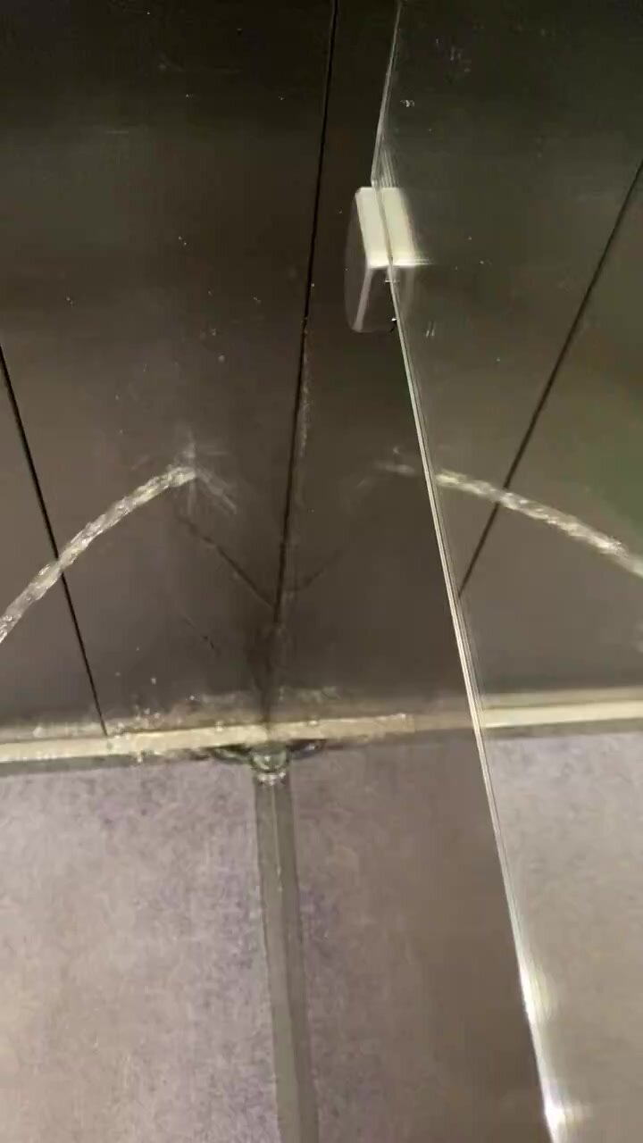 Had To Pee in Elevator