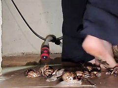 Boy crush snails ( barefoot)