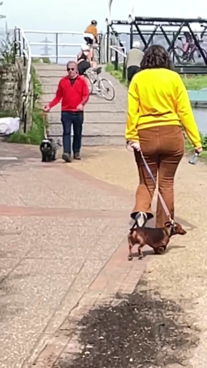 Fat ass milf walking the dog