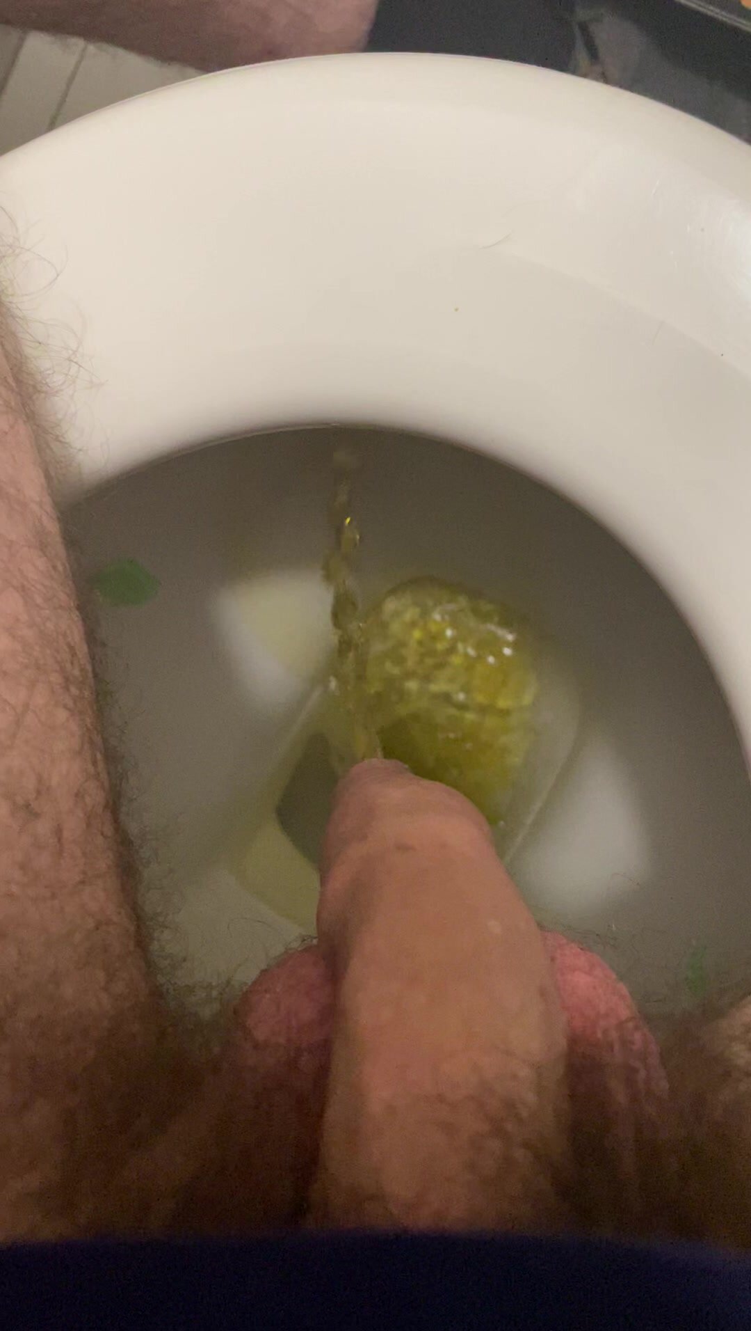 Aussie pissing in the toilet with a smelly dick!