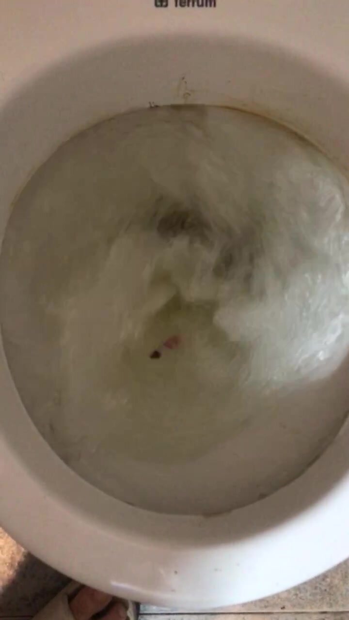 Poop flush 2