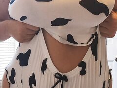 Chubby belly in cowprint
