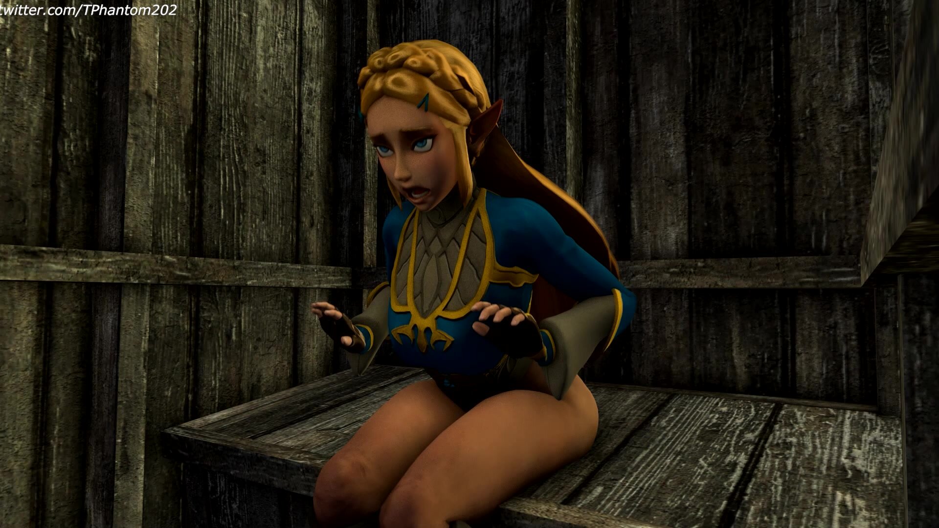 BOTW Zelda Bombs an Outhouse