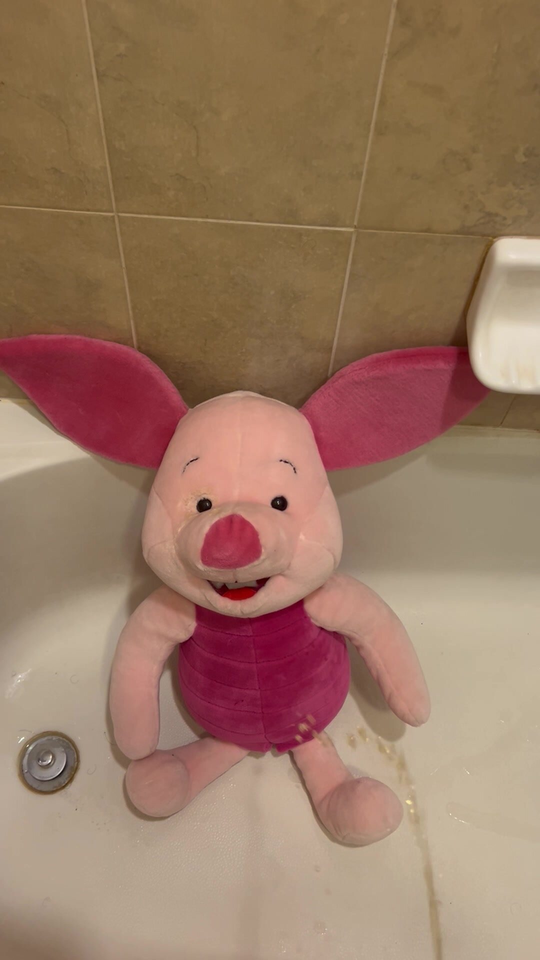 Large Piglet Plush Gets A Face Full of Piss!