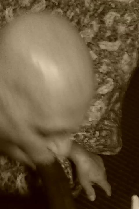 Head & Mo\
