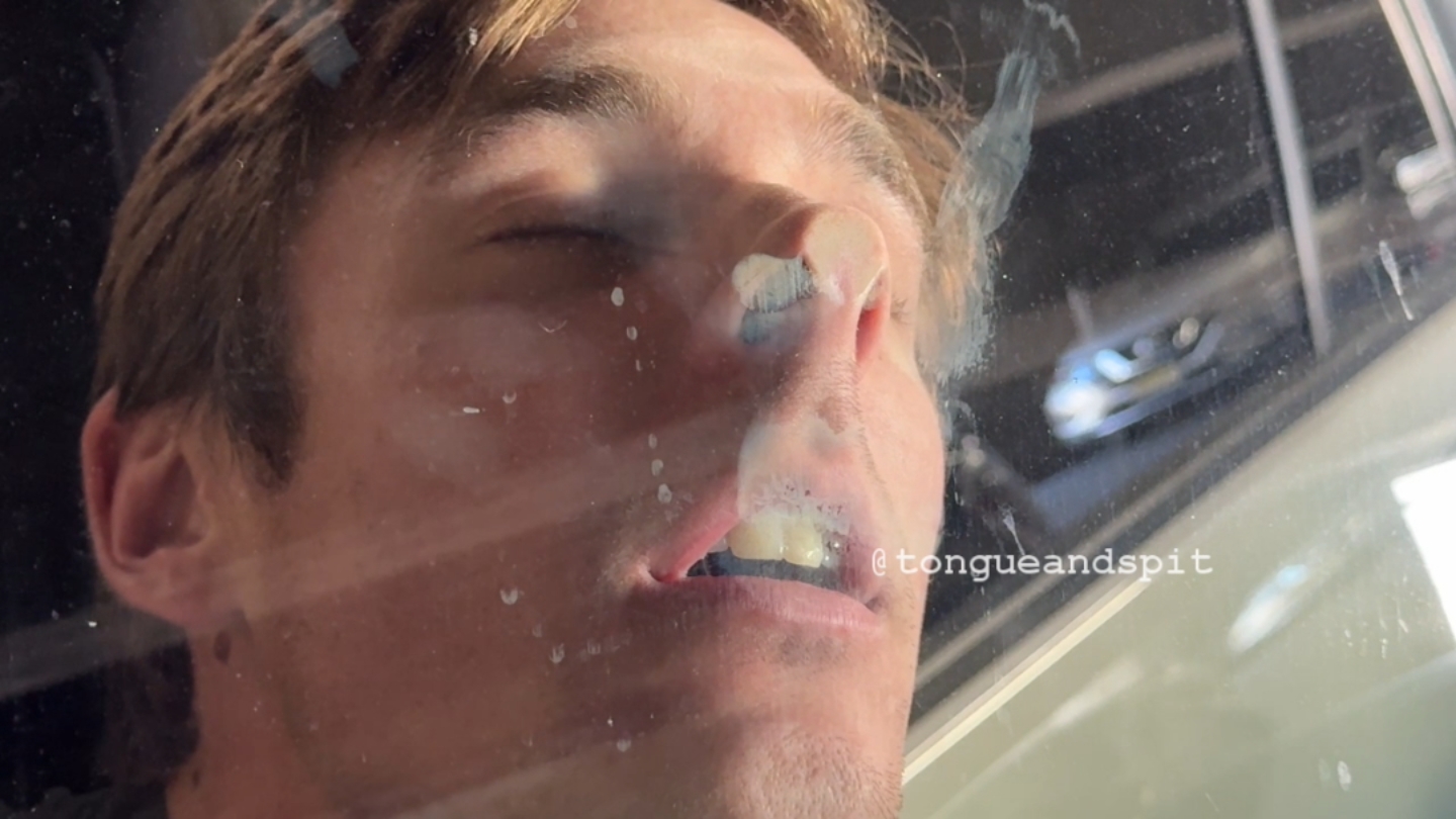 Logan's pig nose window