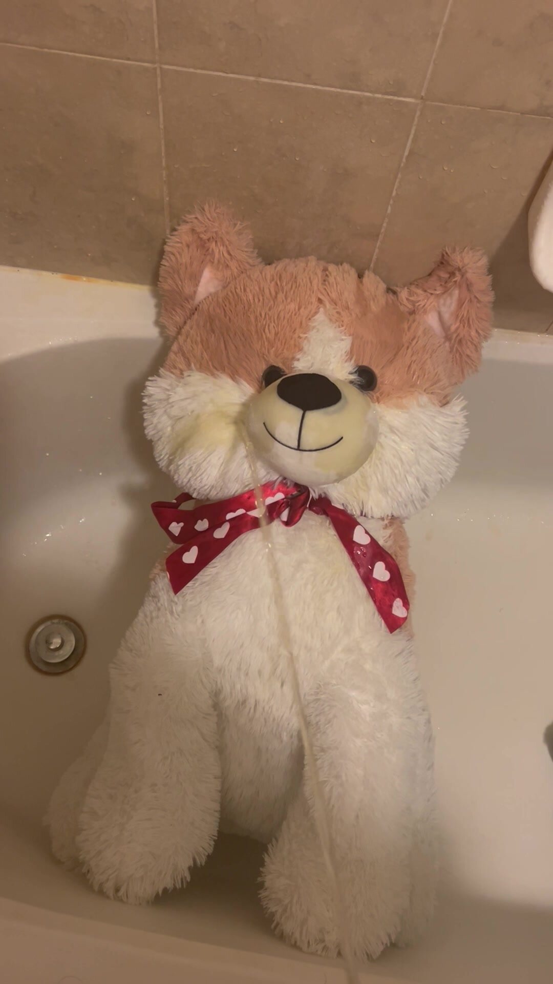 Giving My GIANT Plush Dog A Bath