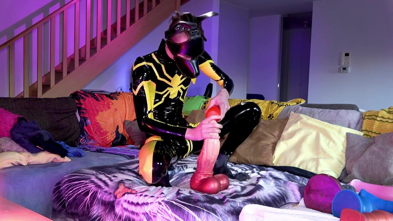latex pup with huge dildos
