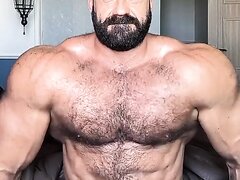 Giant beautiful muscle bear