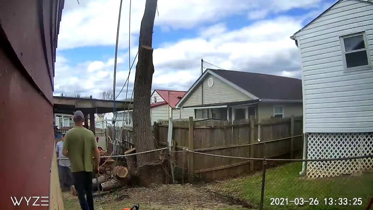 Tree trimmer mooning the camera