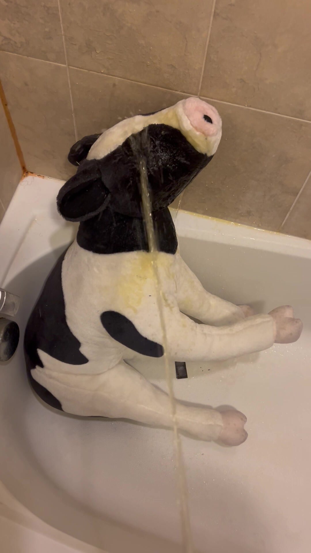 Pissing on a LARGE Plush Calf